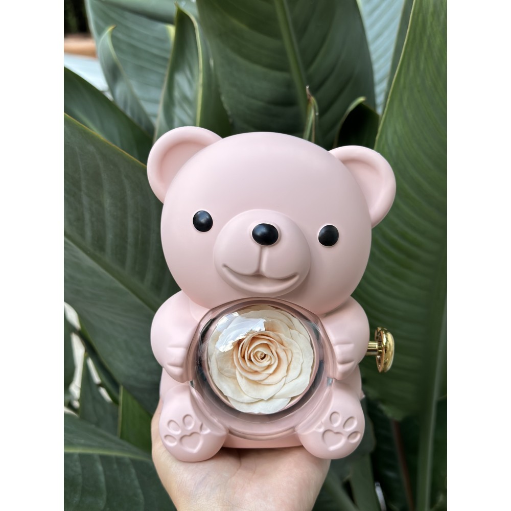 Scatola Orsetto Portagioelli