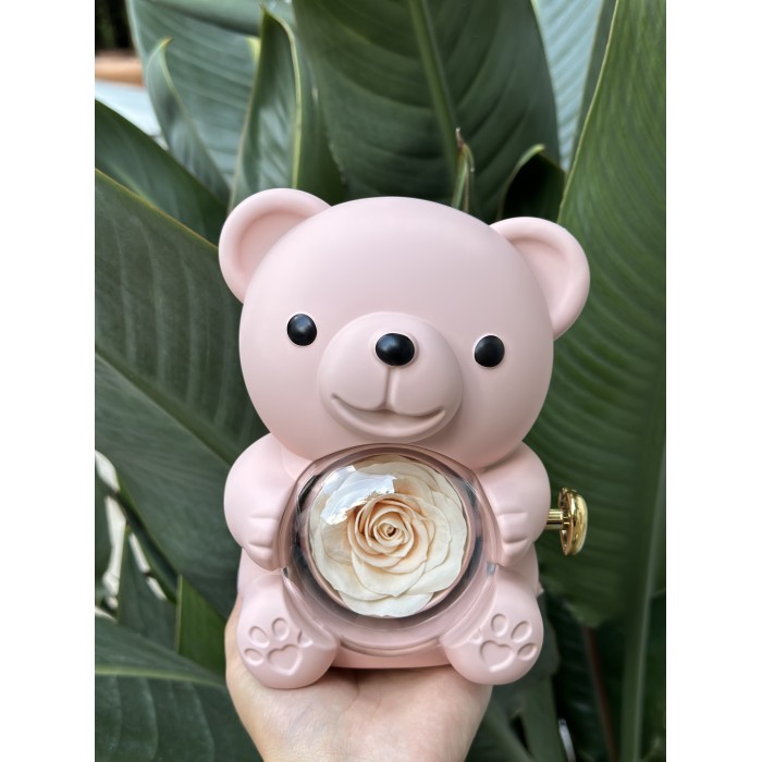 Scatola Orsetto Portagioelli