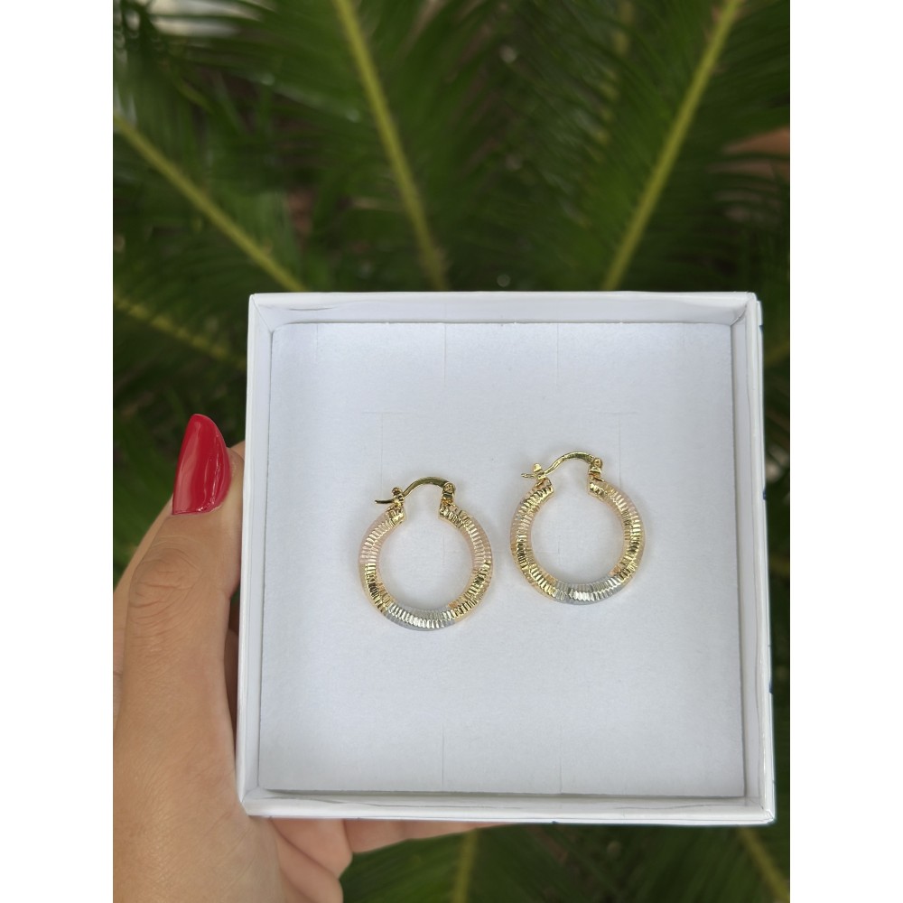 Orecchini Cerchi Lumina Bicolore