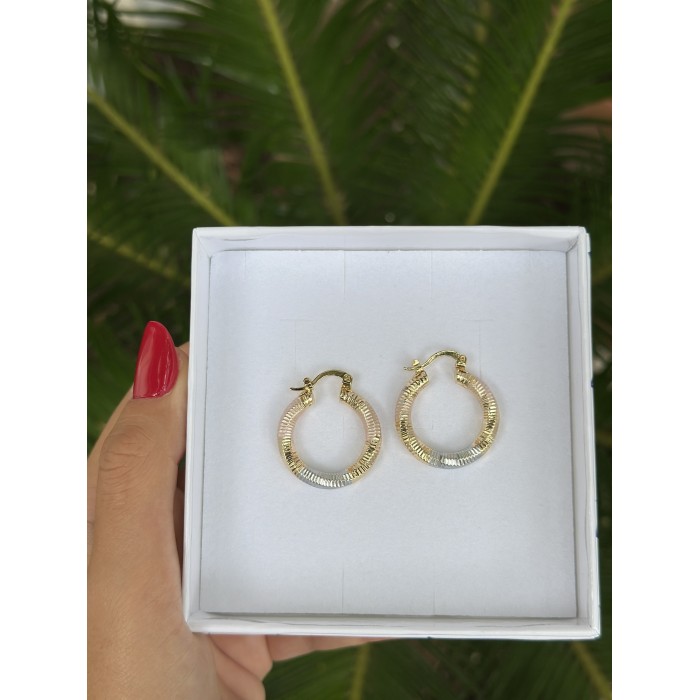 Orecchini Cerchi Lumina Bicolore